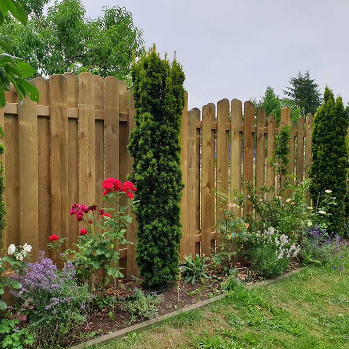 Sichtschutzzaun aus Holz in einem Garten mit Rosen und Stauden