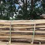 Riegel Robinie, halbrund, geschält, Ansicht 4