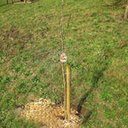 Baum-/Zaunpfähle Kiefer, zylindrisch gefräst, Kopf gefast, einseitig angespitzt, KDI – grün, Ansicht 6