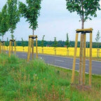 Baum-/Zaunpfähle Kiefer, zylindrisch gefräst, Kopf gefast, einseitig angespitzt, KDI – grün, Ansicht 5