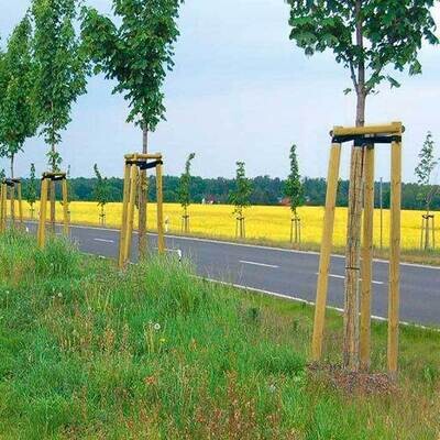 Baum-/Zaunpfähle Kiefer, zylindrisch gefräst, Kopf gefast, einseitig angespitzt, KDI – grün, Ansicht 5