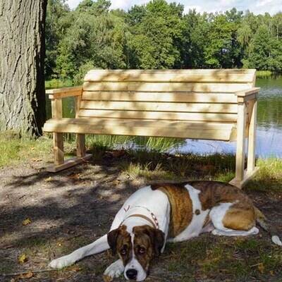 Gartenbank „Paula“ aus Holzart Douglasie – KDI, Ansicht 3