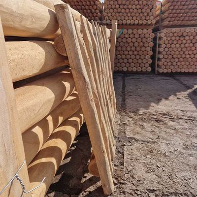 Staketenzaun Tor Standard aus Robinien Holz, Ansicht 4