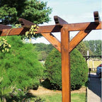 Pergola, Ansicht 3